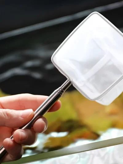 Stainless Steel Fine Net Fishing Net - Retractable and Durable Aquarium and Fish Tank To Catch Small Fish Accessories