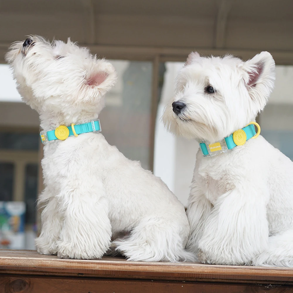 Colorful Pet Collar Waterproof Cat Dog Collars For Small Medium Dogs Fadou Teddy Corgi - Image 15