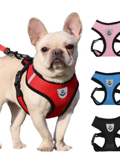 Summer Cat Dog Harness Lead Leash Adjustable Vest Polyester Mesh Breathable Harnesses Reflective for Small Dog Cat Lesah