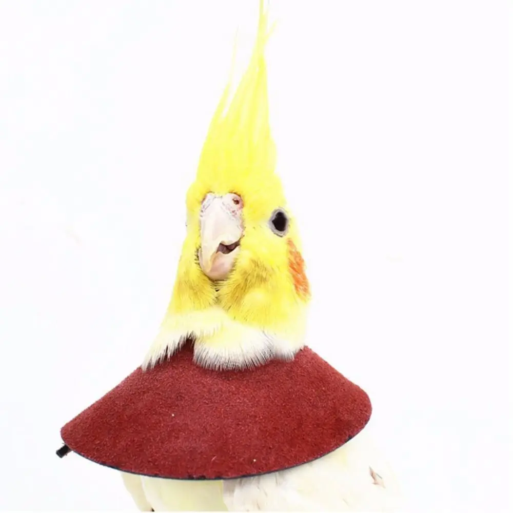 for Bird Neck Protective Adjustable Bird Accessories Bird Cloak Parrot Elizabethan Circle Bird Neck Sleeve Bird Recovery Collar - Image 11