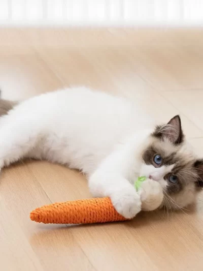 Cat Toys Simulation Carrot Sounding Pet Toys For Kitten Dogs Sisal Teeth Grinding Squeak Interactive Cat Chew Toy Pet Supplies