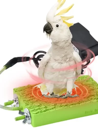 Bird Cage Heater Stand Platform Parrot Heater Bird Warmer Snuggle Up Bird Warmer Automatic Bird Platform Heater For Budgies