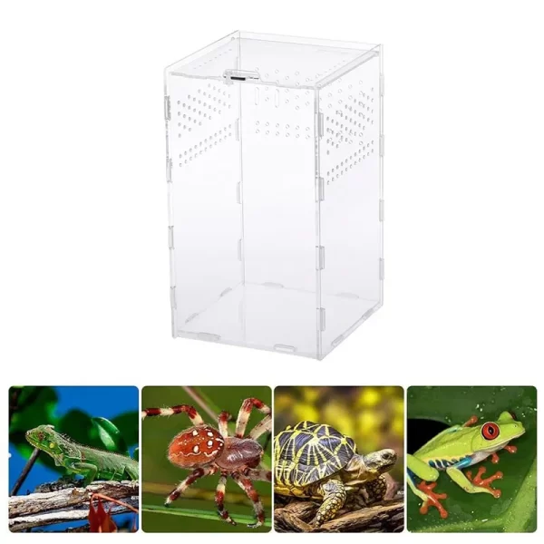 Reptile Habitat Terrarium Breeding Box Acrylic Transparent Insect Spider Lizard Scorpion Feeding Case Reptile Accessories - Image 16