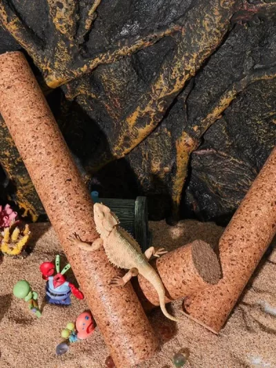 Reptile Accessories Soft Wood Climbing Branch Wooden Toy Decor Terrarium Rack Tank Standing Lizard Tree Crested gecko