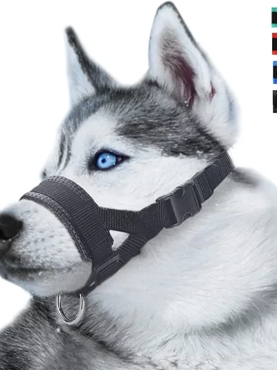 Dog Mouth Muzzle Anti Bark Dog Collar Breathable Dog Training Tool Nylon Muzzle Set With Stripes Summer Pet Leashes