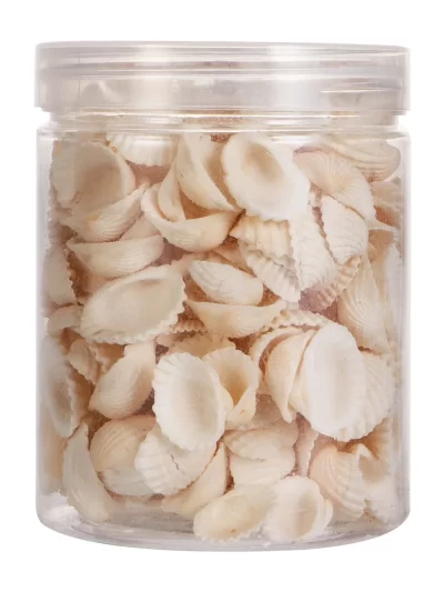 Fish Tank Accessories Shell Jewelry Small Decor Scallop Natural Ornaments Vase Barreled DIY Pendant