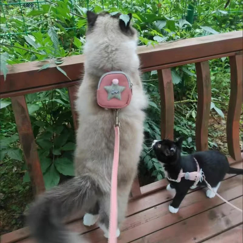 Fashion Cat Dog Harness and Leash Set for Cats Small Dogs Cartoon Print Pet Harnesses with Backpack Kitten Ropes Accessories - Image 5