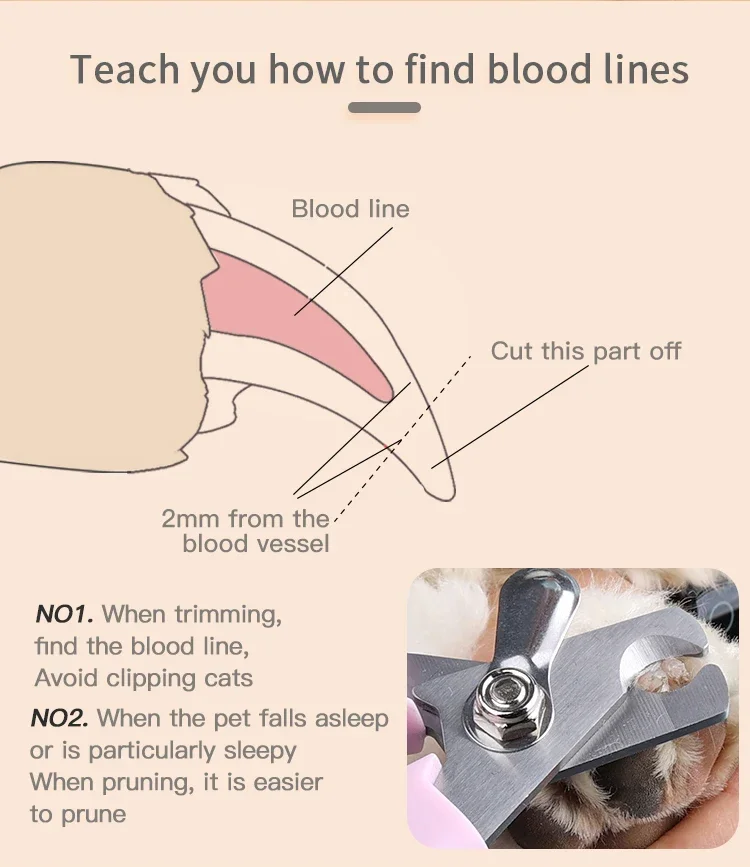 Nail Clippers for Pet Cleaning and Grooming Supplies, Dog and Cat Nail Clippers, Pet Accessories - Image 12