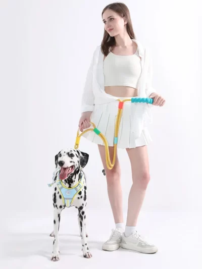 Versatile Pet Traction Leashes with a Comfortable Foam Handle