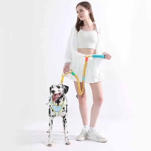 Versatile Pet Traction Leashes with a Comfortable Foam Handle