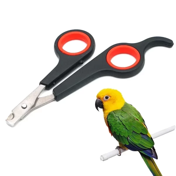 Parrot Nail Clippers Small Animal Accessories Beauty Tools Nail Clippers Dog Cat Bird Guinea Pig Animal Paw Scissors Pet Health - Image 9