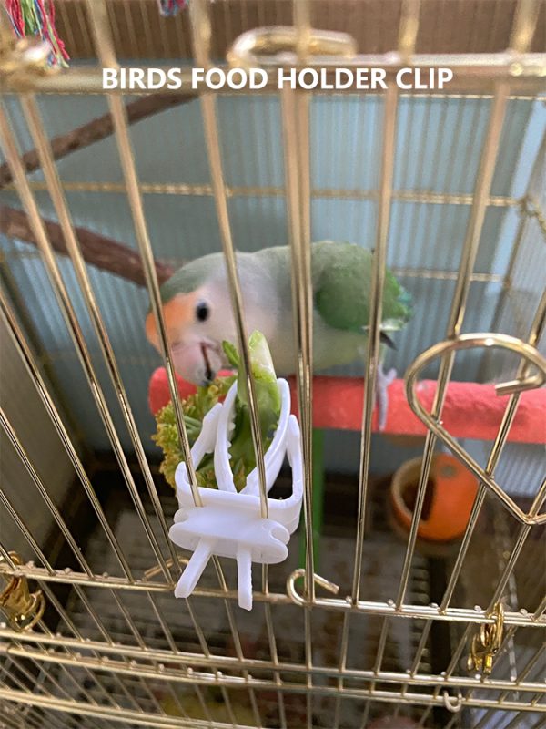 Cute Small Pet Bird Food Holder Parrot Fruits Vegetables Clip Cuttlefish Bone Feeder Device Clamp Bird Cage Accessories Oiseaux - Image 8