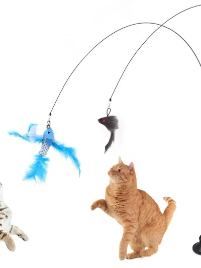 Simulation Bird interactive Cat Toy Sucker Feather Bird with Bell Cat Stick Toy for Kitten Playing Teaser Wand Toy Cat Supplies