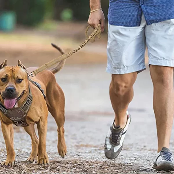Dog Leash Large Dogs, Bungee Dog Leash Heavy Duty, No Pull Dog Leash for Shock Absorption, Dog Training Leash for Medium Large B - Image 4