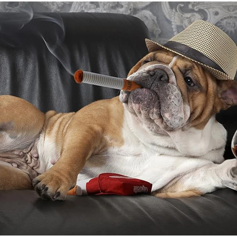 Cigarette Sound Making Dog Toy Puppy Cat Chewing Anti-bite Doll Simulation Cigarette Plush Toy Pet Accessories Dog Supplies - Image 3