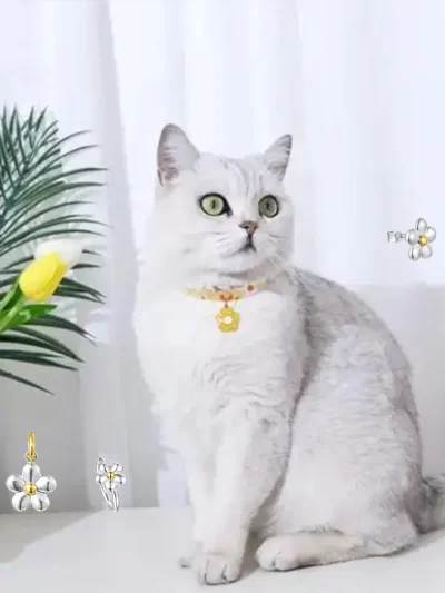 Cat Accessories 2025 Hot Spanish original jewelry Chrysanthemum pendant simple exquisite set girl's birthday gift