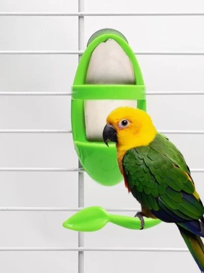 1pcs Bird Cuttlebone Holder Bird Cage Feeding Holder Vegetable Fruits Cuttlebone Holder for Parrot Budgies Parakeet Cockatiel