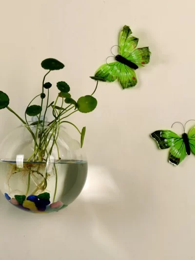 Glass Vase Wall Hanging Hydroponic Terrarium Fish Tanks Potted Plant Flower pot