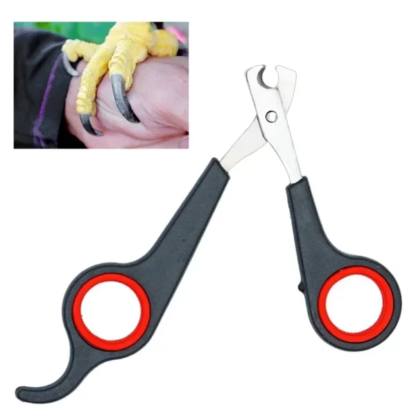 Parrot Nail Clippers Small Animal Accessories Beauty Tools Nail Clippers Dog Cat Bird Guinea Pig Animal Paw Scissors Pet Health - Image 11