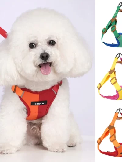 Pet Accessories Dog Products Tactical Vest Harness Small Collar Leash Dogs Supplies Chest Collars Big Cats Pets Things Puppy