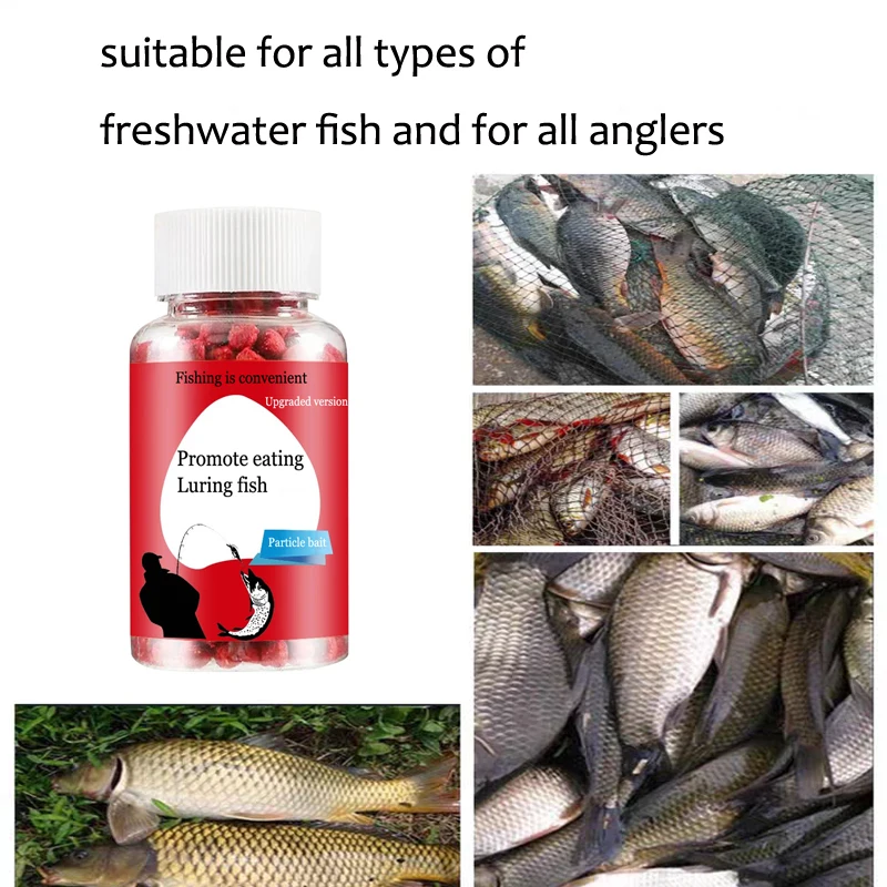fish foodUniversal concentrated bait, red fragrant fish food granules,outdoor fishing accessories、Fishing bait、Shrimp clipper - Image 4
