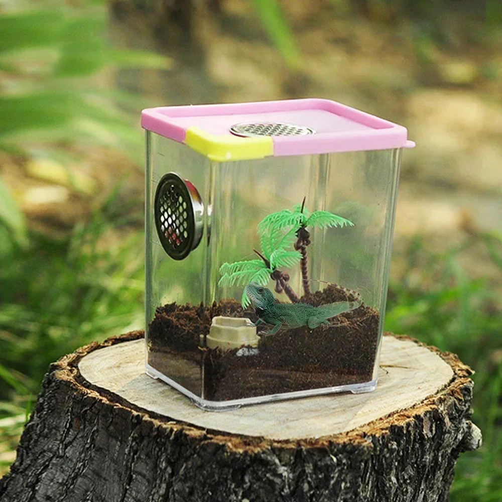 Acrylic Transparent Breeding Box for Reptiles Spiders Lizards Insects Mantis Pet Cages Reptile Accessories Clear Feeding Box - Image 3