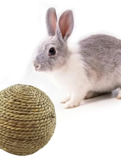 6cm Pet Chew Toy Natural Grass Ball For Rabbit Hamster Guinea Pig Tooth Cleaning Supplies Small Pet Toys Rabbit Accessories