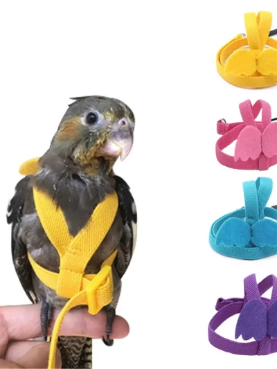 2M Soft Bird Parrot Flying Training Rope Adjustable Parrot Harness Set for Bird Accessories Supplies