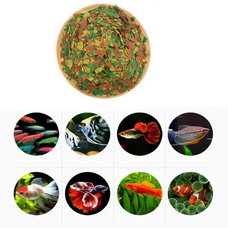 Fish Food Coloring and Brightening Feed High-nutrient Tropical Fish Growth Healthy Fish Food Flakes - Image 4