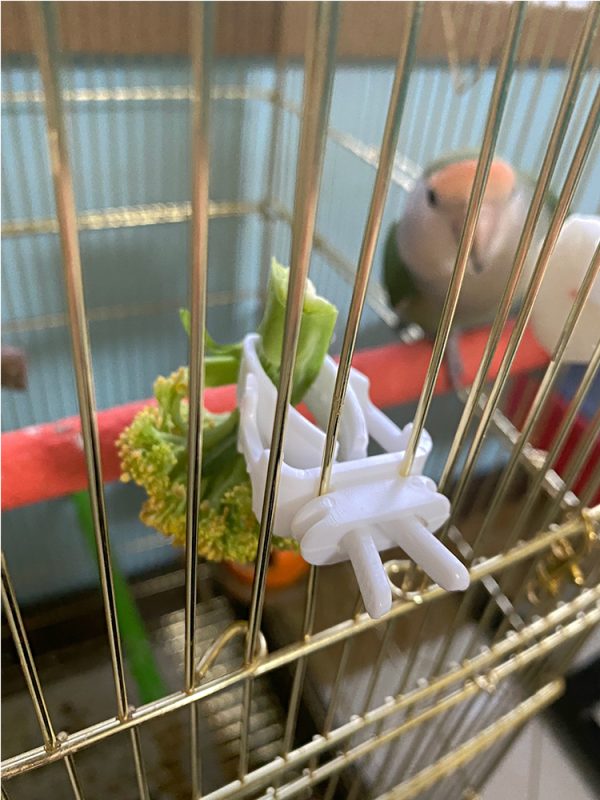Cute Small Pet Bird Food Holder Parrot Fruits Vegetables Clip Cuttlefish Bone Feeder Device Clamp Bird Cage Accessories Oiseaux - Image 17