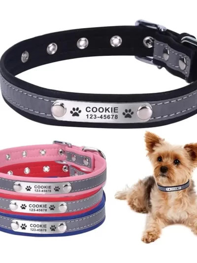 Personalized Reflective Pet Collar, Dog Collars, Puppy Name Plate, Adjustable Free Engraving, Basic Leather, Custom