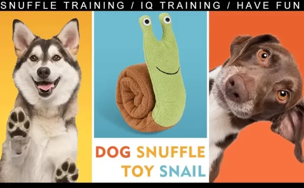 Dog Squeak Toys Pet Sniffing Plush Snails Toys Tibetan Food Molar Puzzle Dog Toys Interactive Dog Puzzle Toy Feeder Pet Supply - Image 20