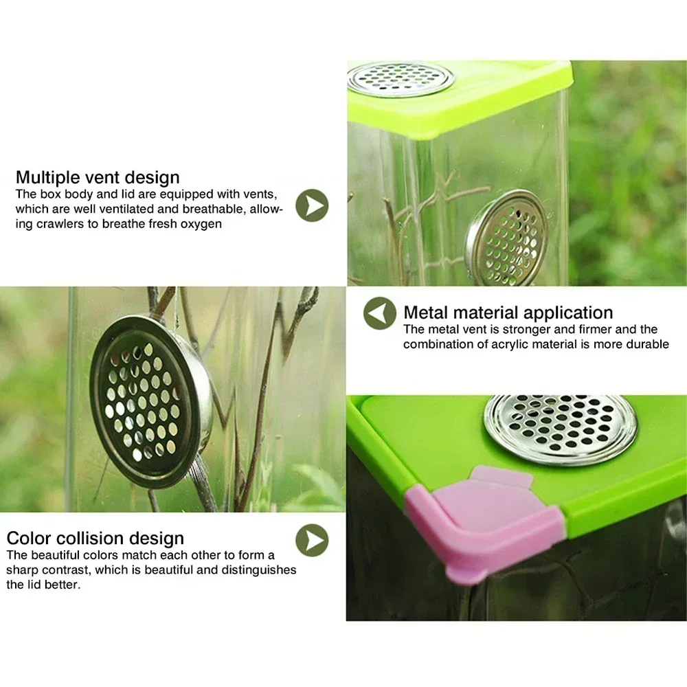 Acrylic Transparent Breeding Box for Reptiles Spiders Lizards Insects Mantis Pet Cages Reptile Accessories Clear Feeding Box - Image 5