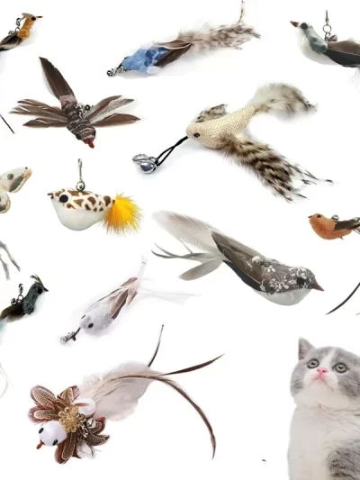 Funny Bird Feather Cat Wand With Bell Accessories Interactive Toys For Cats Kitten Hunting Teaser Exercise Pet Products