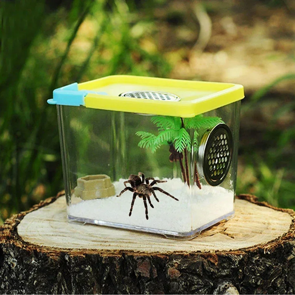 Acrylic Transparent Breeding Box for Reptiles Spiders Lizards Insects Mantis Pet Cages Reptile Accessories Clear Feeding Box - Image 2