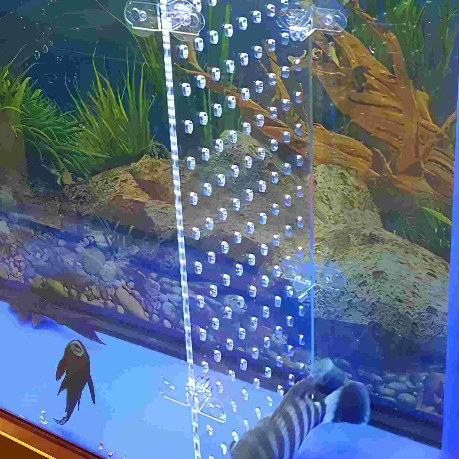 Fish Tank Isolation Board Bowl Transparent Divider Plant Accessories Acrylic Breeding Case Water Aquarium Separator - Image 4