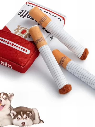 Dog Toys with a Box Safe Gifts for Puppies Dogs