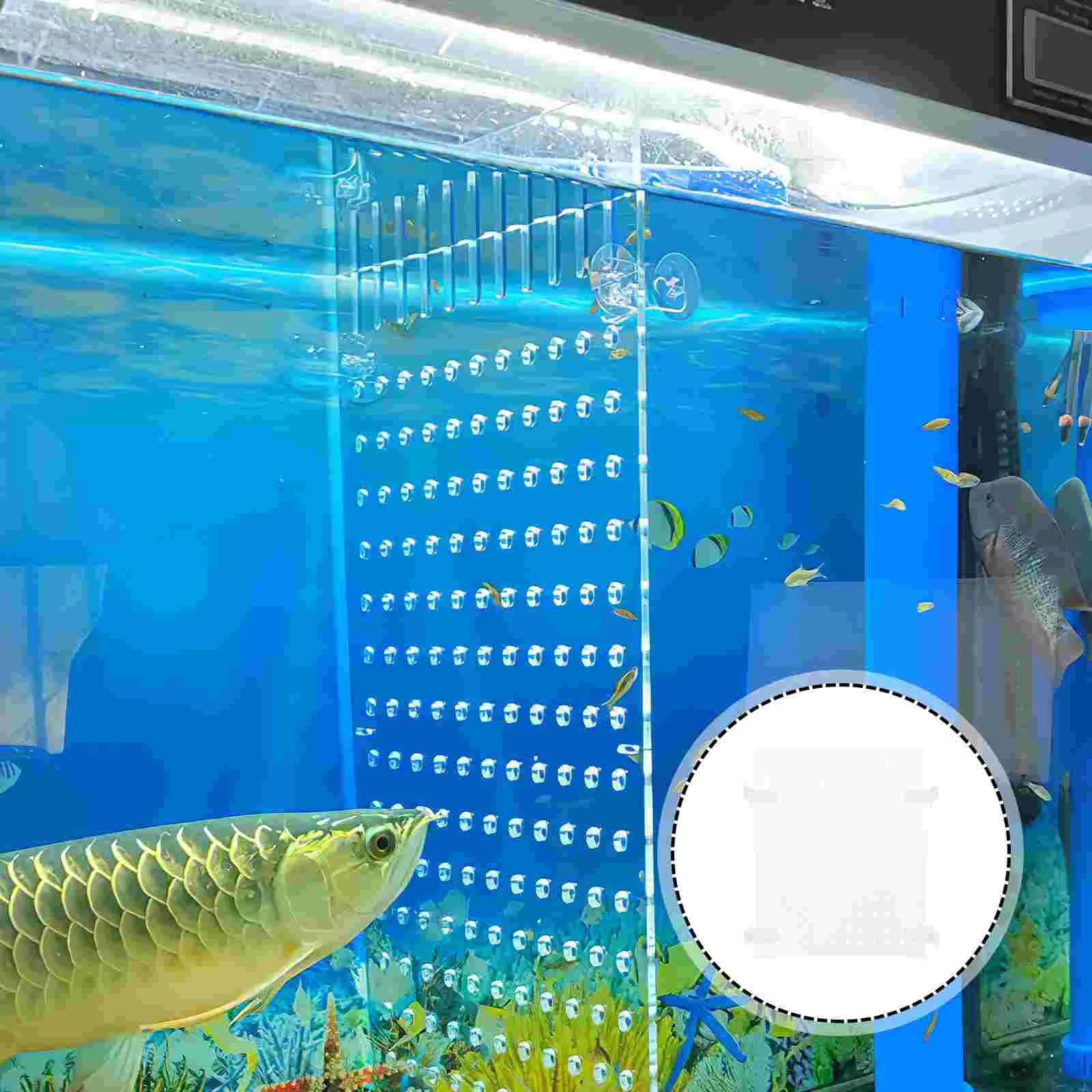 Fish Tank Isolation Board Bowl Transparent Divider Plant Accessories Acrylic Breeding Case Water Aquarium Separator