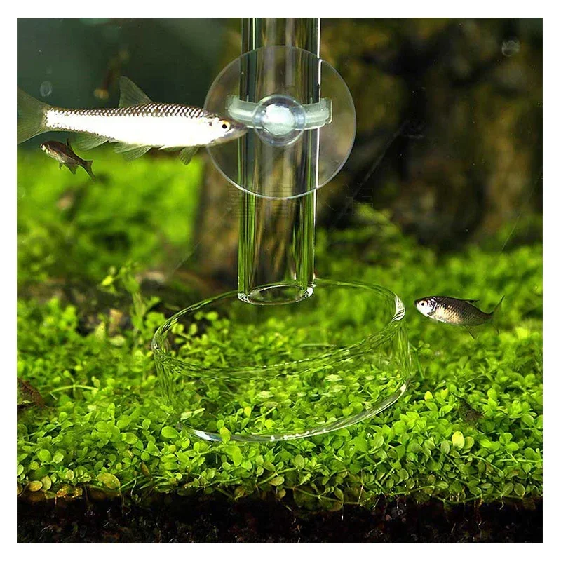 VIV Aquarium Supplies Crystal Shrimp Nest Glass Feeding Basin Feeding Tube Fish Tank Accessories ADA Quality - Image 3