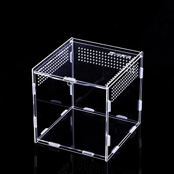 Reptile Habitat Terrarium Breeding Box Acrylic Transparent Insect Spider Lizard Scorpion Feeding Case Reptile Accessories - Image 18