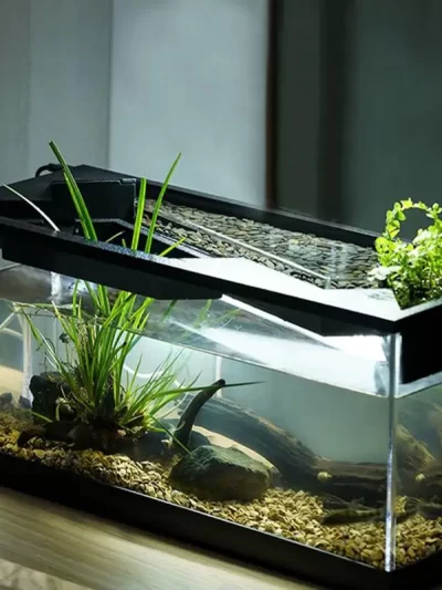 Acrylic Transparent Fish Tanks With Filter Small-scale Living Room Landscape Tank Aquariums With Air Pump For Tabletop