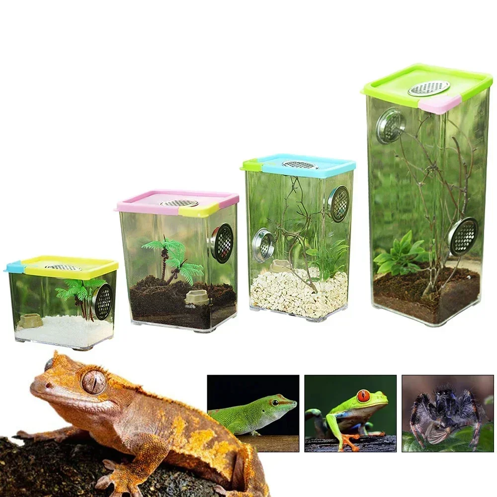 Acrylic Transparent Breeding Box for Reptiles Spiders Lizards Insects Mantis Pet Cages Reptile Accessories Clear Feeding Box - Image 4