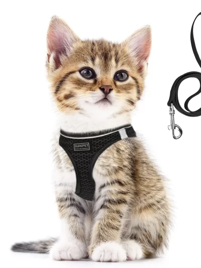 Cat Dog Harness with Lead Leash Adjustable Vest Polyester Mesh Breathable Harnesses Reflective sti for Small Dog Cat accessories