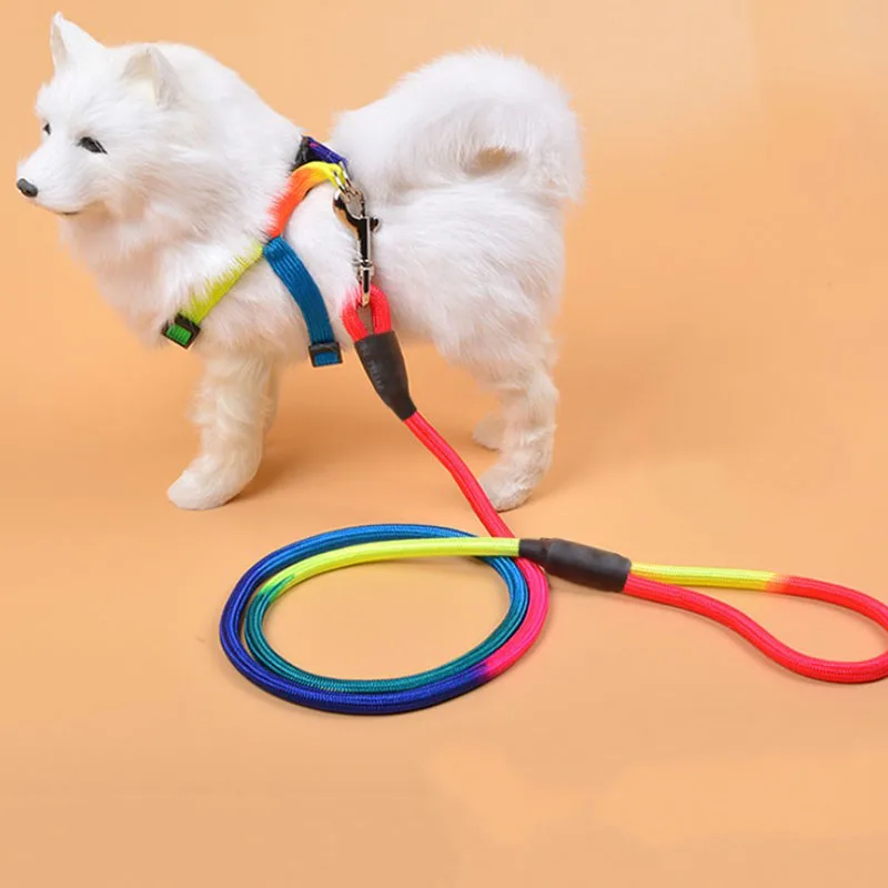 Durable Nylon Rainbow 1.2M Pet Dog Leash Walking Training Leash Cats Dogs Harness Collar Leashes Strap Belt Rope - Image 12