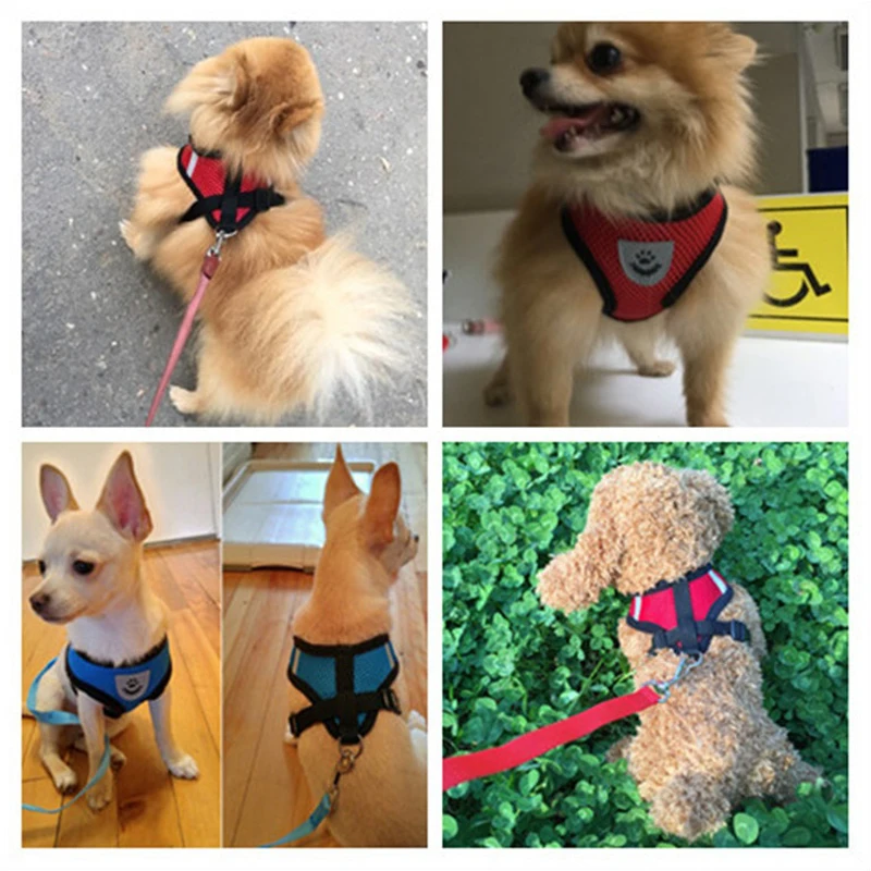 Dog Harness Walking Lead Leash For Small Dogs Collar Polyester Adjustable Mesh Puppy Cat Harness Vest For Medium Pet Accessories - Image 2