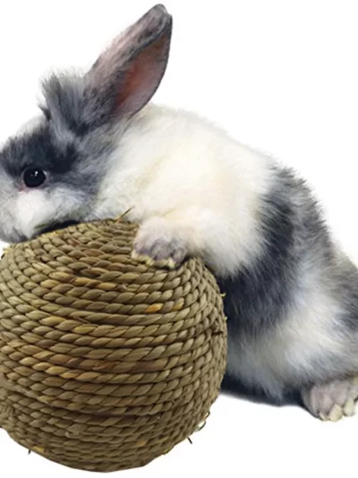 6cm Pet Chew Toy Rabbit Accessories Natural Grass Ball For Rabbit Hamster Guinea Pig For Tooth Cleaning Supplies Small Pet Toys