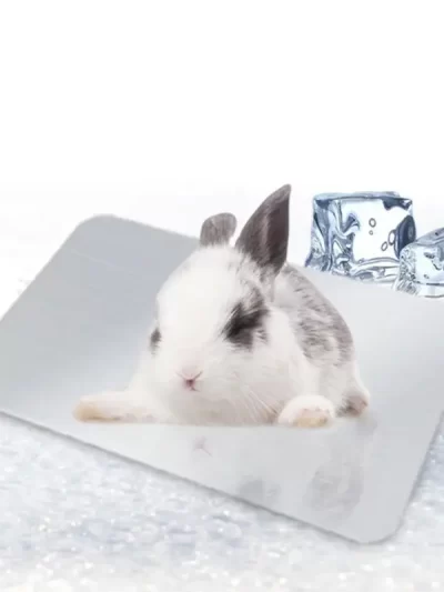 Rabbit Cooling Mat Pet Hamster Aluminum Cool Ice Pad Cage Sleeping Bed Plate for Bunny Puppy Kitten Chinchilla