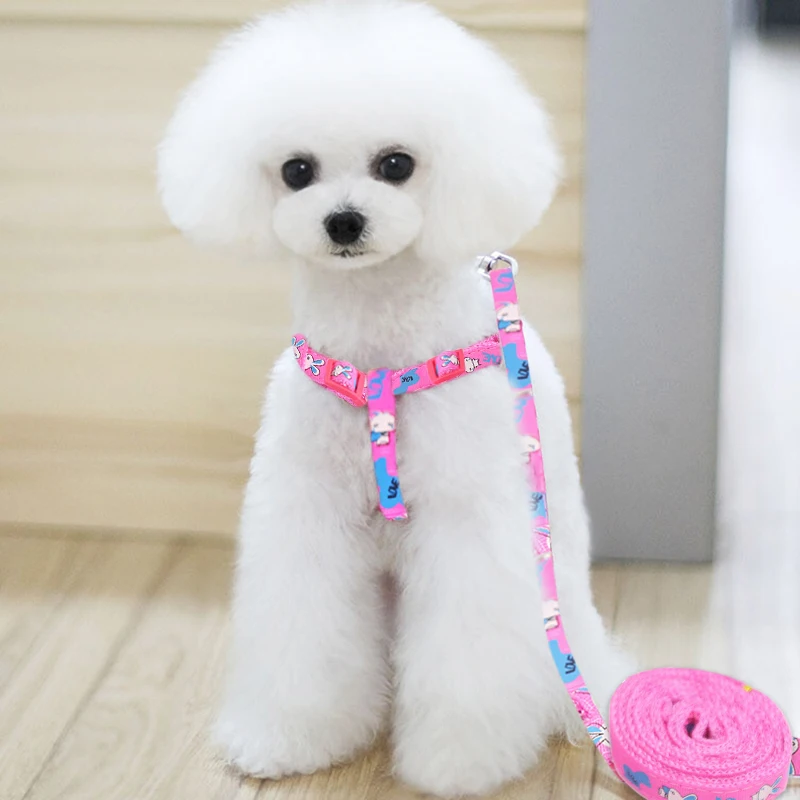 2019 Pet Dog Harness Leashes Puppy Collar for Small Dog Harness Medium Dog Products Adjustable Pet Accessories Arnes Perro 35 - Image 5