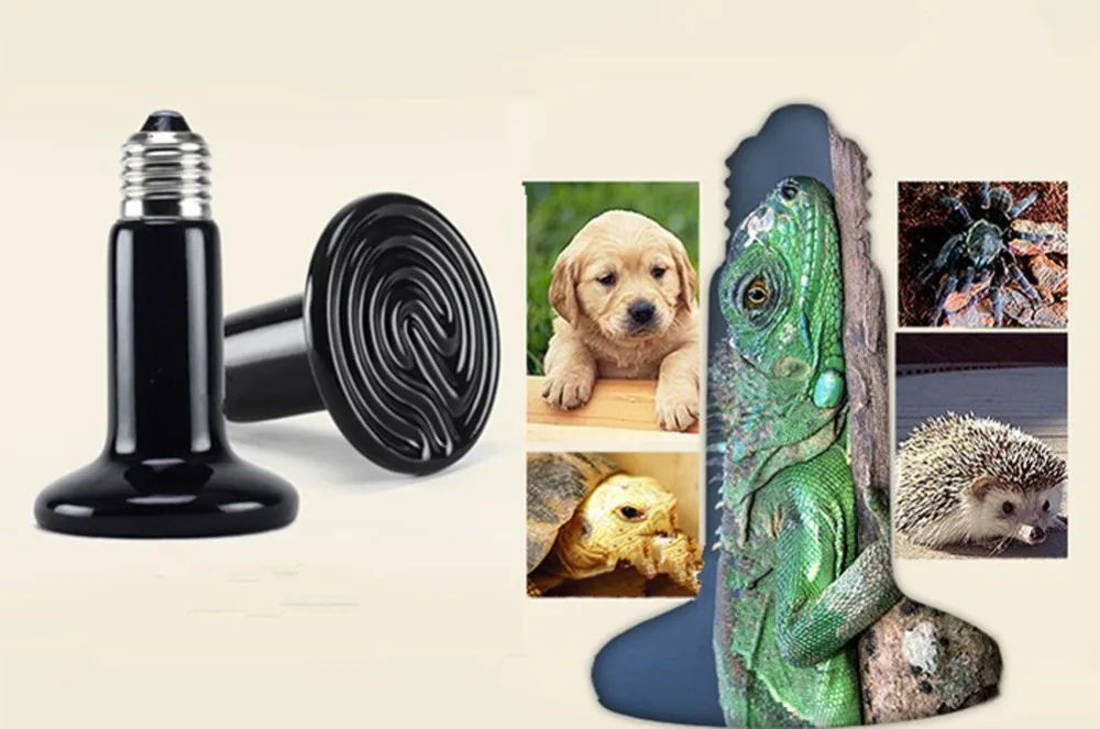1 Pcs Reptile Pet No Light Far Infrared Ceramic Heating Lamp E27 Small Mini Heat Lamp 25W 50W 75W 100W - Image 3