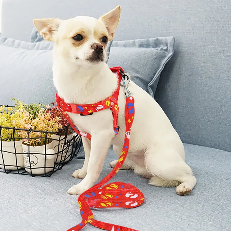 2019 Pet Dog Harness Leashes Puppy Collar for Small Dog Harness Medium Dog Products Adjustable Pet Accessories Arnes Perro 35 - Image 4